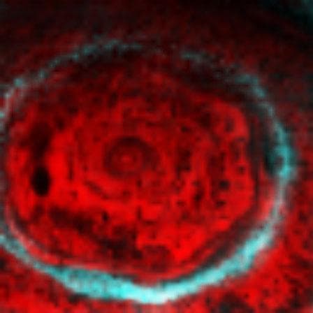 NASA image: Saturn North Pole Hexagon and Aurora