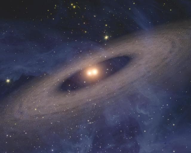 NASA image: Two Suns Raise Family of Planetary Bodies Artist Animation
