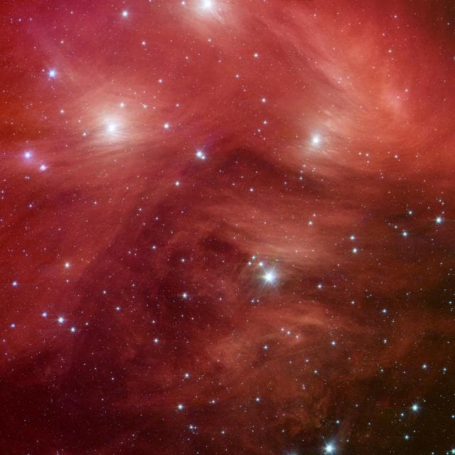 NASA image: Pink Pleiades