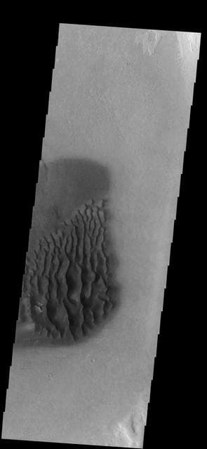NASA image: Dunes