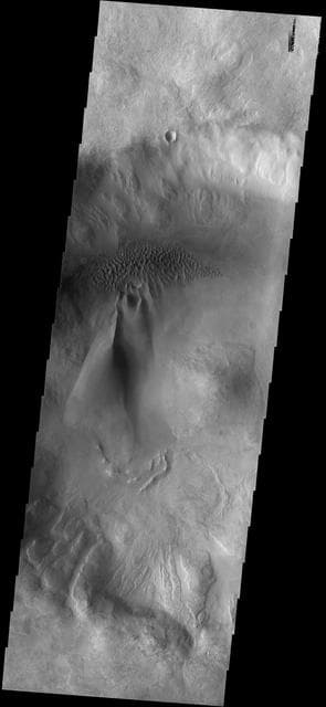 NASA image: Dune Types
