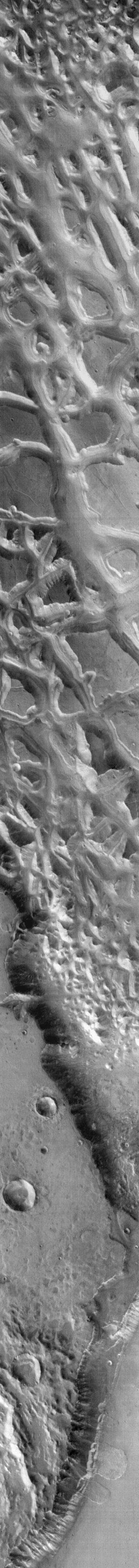 NASA image: Landslides in IR