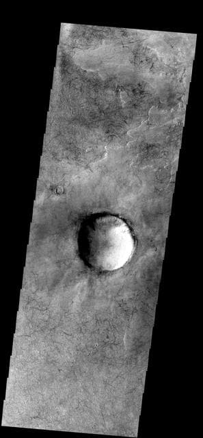 NASA image: Dust Devil Tracks