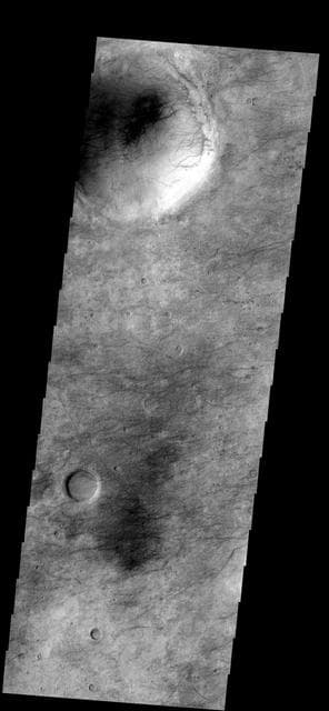 NASA image: Dust Devil Tracks