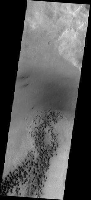 NASA image: Dunes on Wirtz Crater