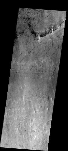 NASA image: Dust Devil Tracks