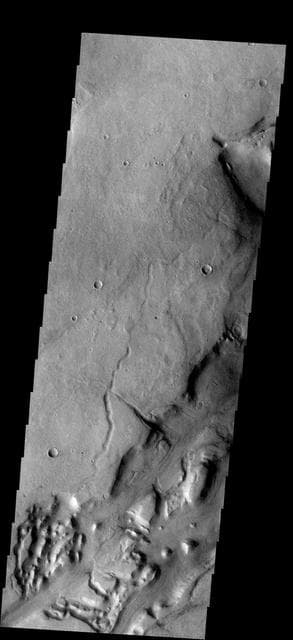 NASA image: Dao Vallis