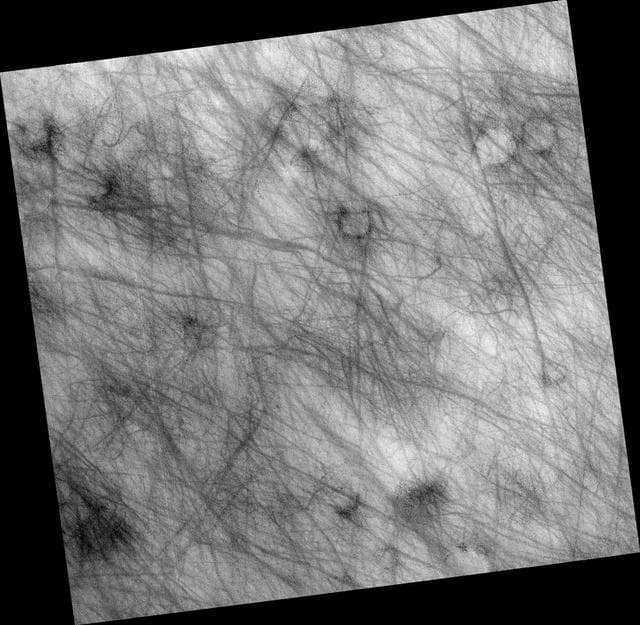 NASA image: Dust Devil Tracks in Northern Plains