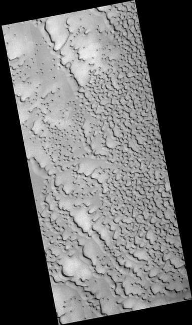 NASA image: Frost-Covered Dunes in the North Polar Region