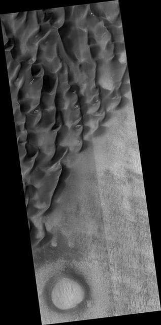 NASA image: Proctor Crater Dune Field