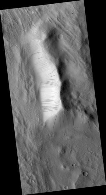 NASA image: Newly-Formed Slope Streaks