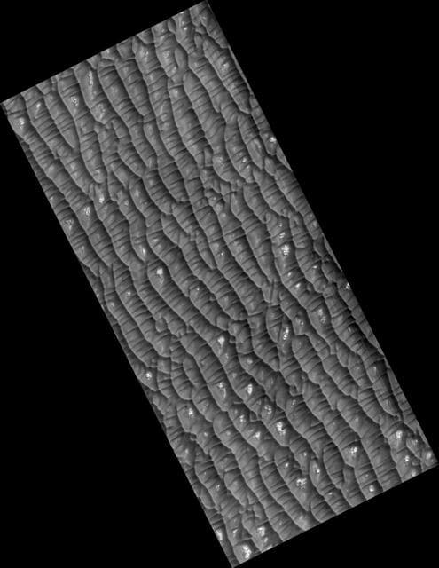 NASA image: Dunes and Polygons in Olympia Undae