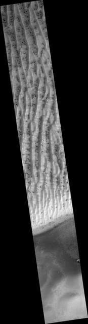 NASA image: Sand Dune Field in Richardson Crater