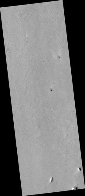 NASA image: Proposed MSL Site in Elysium/Avernus Colles