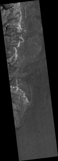 NASA image: Proposed MSL Site in NE Syrtis Major