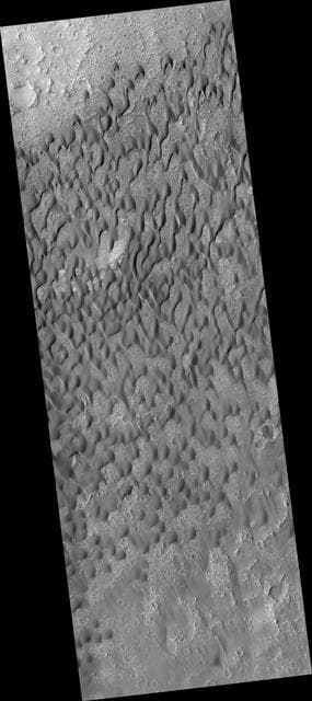 NASA image: Dark Dunes in Herschel Crater