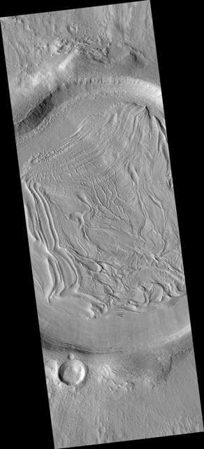 NASA image: Concentric Crater Fill in the Northern Plains