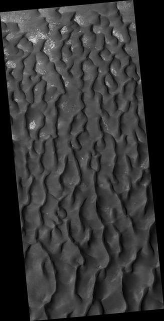 NASA image: Kaiser Crater Dune Field