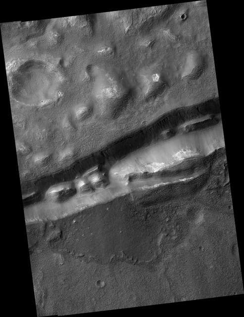 NASA image: Gullies in Trough near Gorgonum Chaos