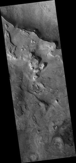 NASA image: Proposed MSL Site in Nilo Syrtis