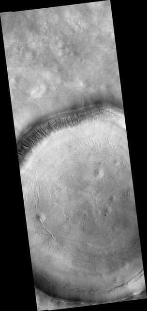 NASA image: Signs of Fluids and Ice in Acidalia Planitia