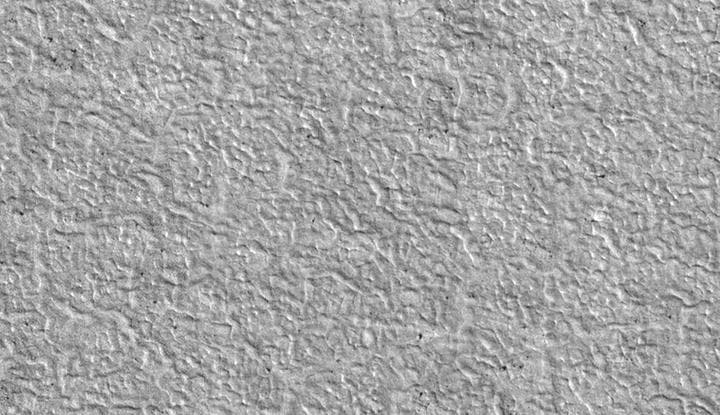 NASA image: Terrain Type for Phoenix Landing