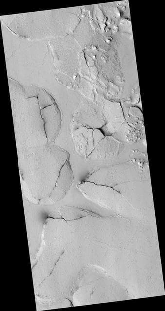 NASA image: Fractured Mounds in Elysium Planitia