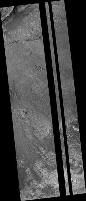 NASA image: Proposed MSL Site in West Candor