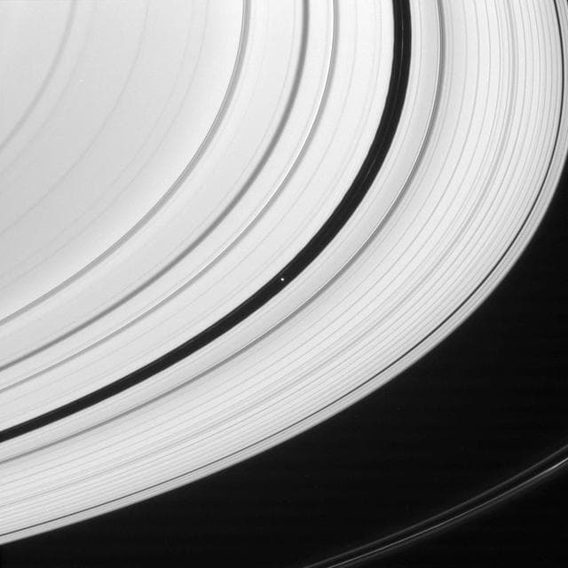 NASA image: Encke Inhabitants
