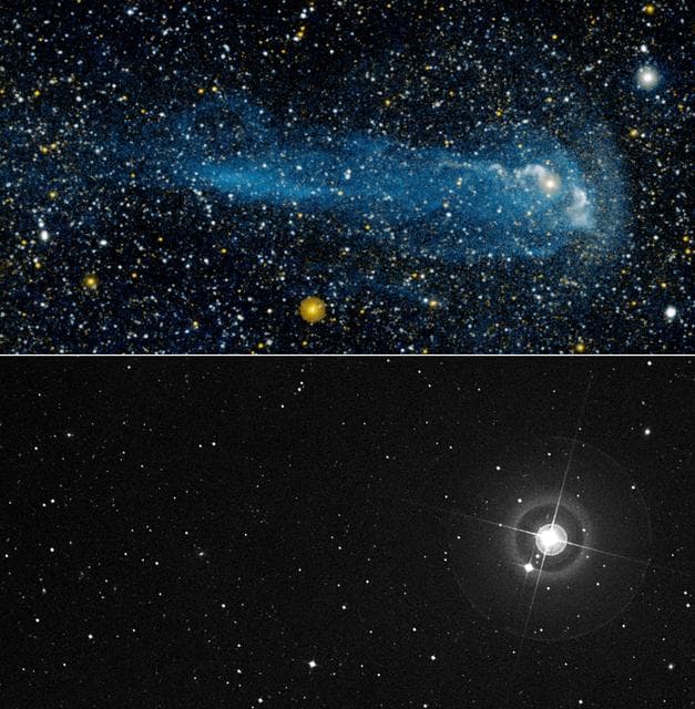 NASA image: Mira Tail There All Along