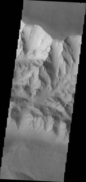 NASA image: Candor Chasma