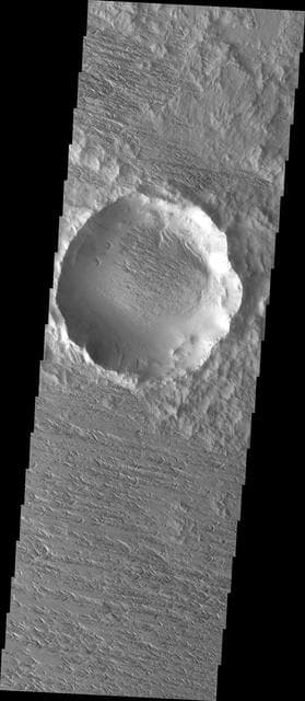 NASA image: Back in View