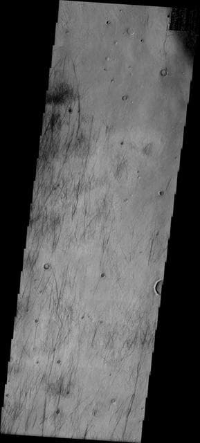 NASA image: Dust Devil Tracks
