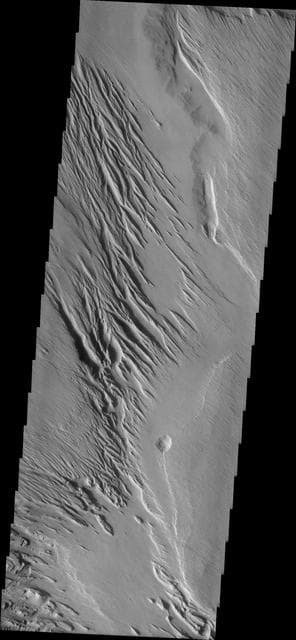 NASA image: Medusa Fossae