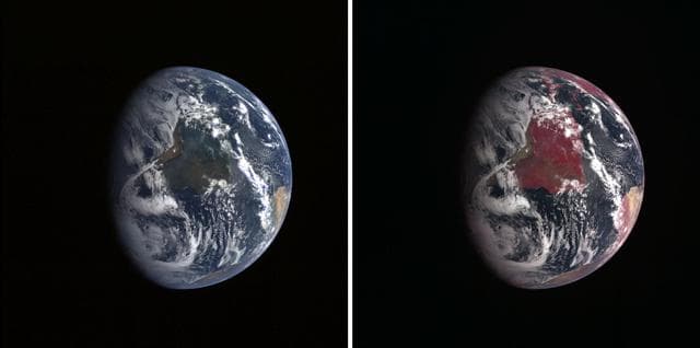 Twins Image