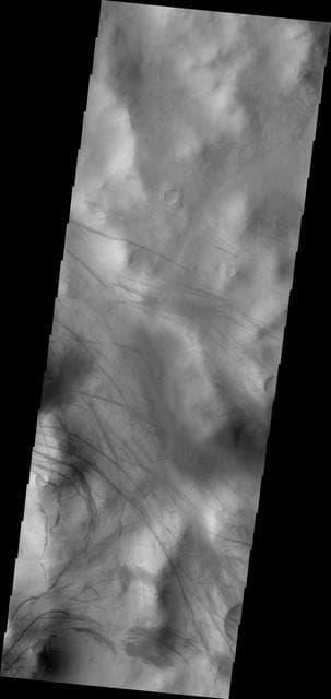NASA image: Dust Devil Tracks