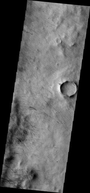NASA image: Dust Devil Tracks