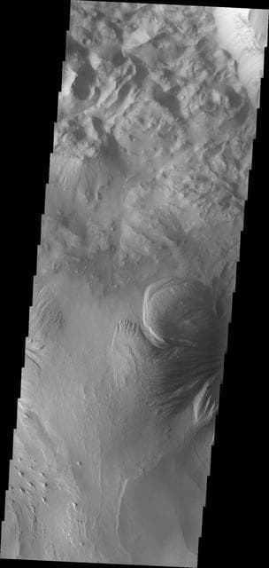 NASA image: Ophir Chasma