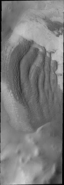 NASA image: Reynolds Crater