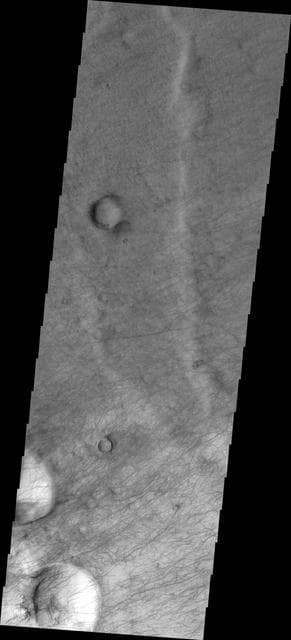 NASA image: Dust Devil Tracks