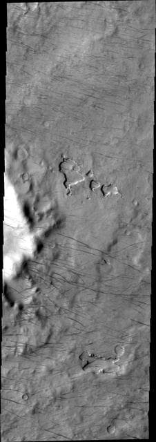 NASA image: Dust Devil Tracks