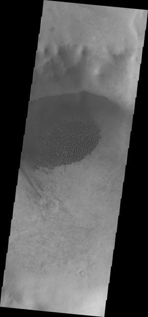 NASA image: Summer End