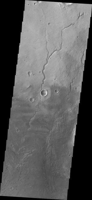 NASA image: Newton Crater