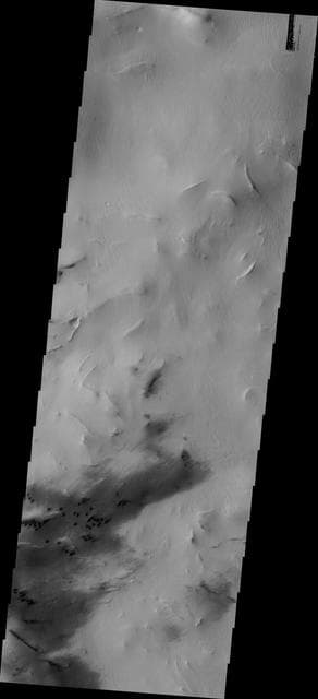 NASA image: Hellas Dunes