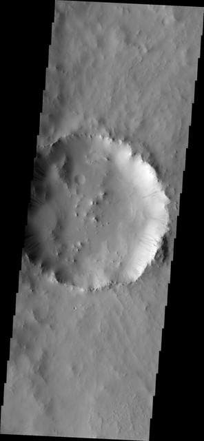 NASA image: Dark Slope Streaks