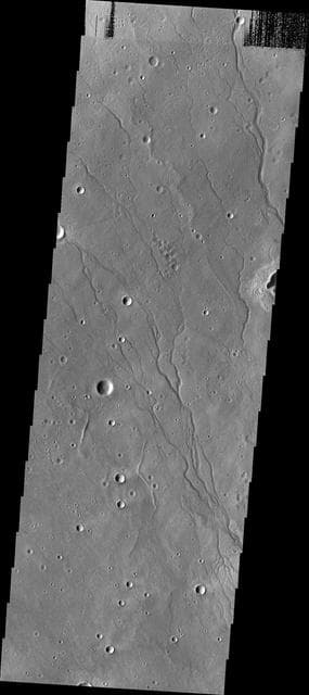 NASA image: Newton Crater