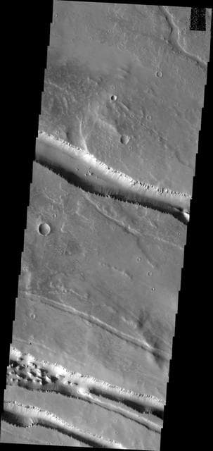 NASA image: Elysium Fossae