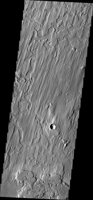 NASA image: Elysium Planitia
