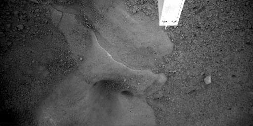 NASA image: Potential Ice Table Under Lander Imaged