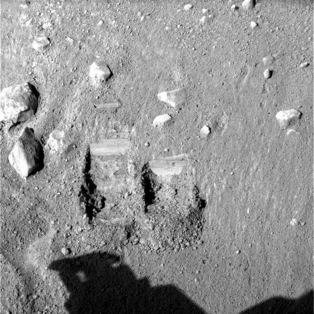 NASA image: Dodo and Baby